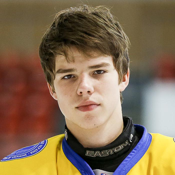 Artyom Tselogorodtsev