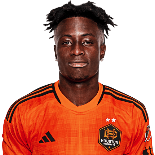 브루클린 레이네스